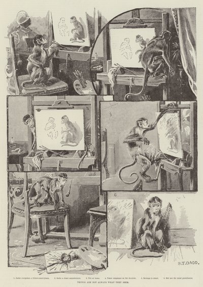 物事は常に彼らが見ているものではありません 作： S.T. Dadd